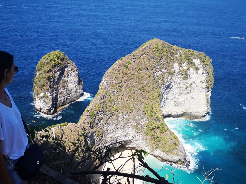 T-Rex bay Nusa Penida