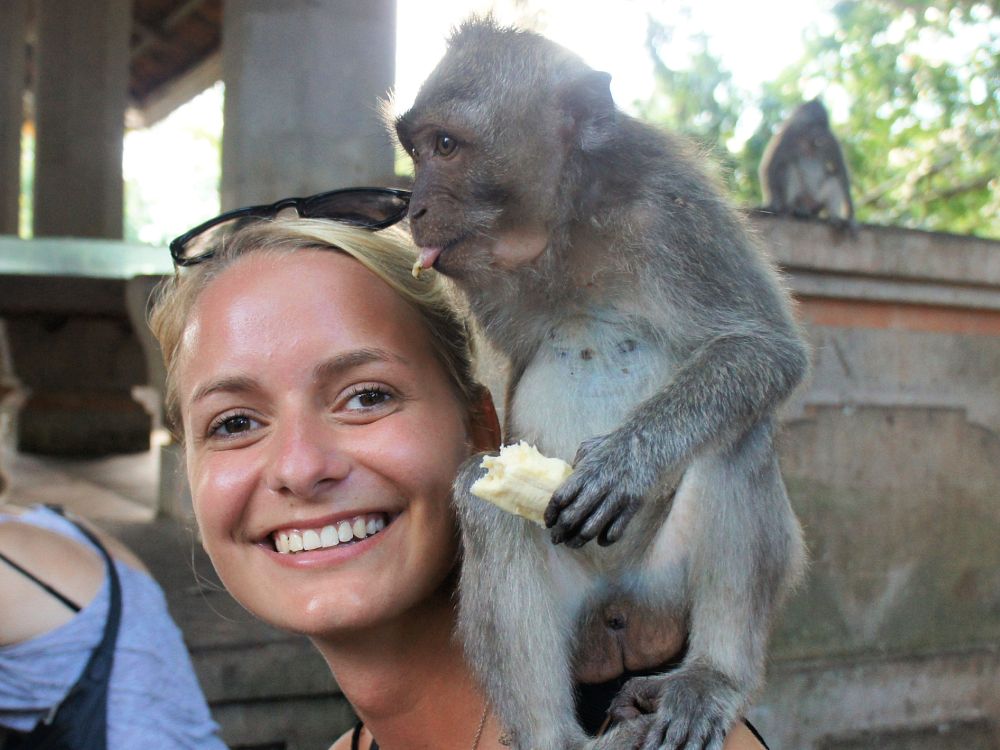 Monkey Forest på Bali